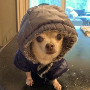 Dog Parka by Top Paw- size M